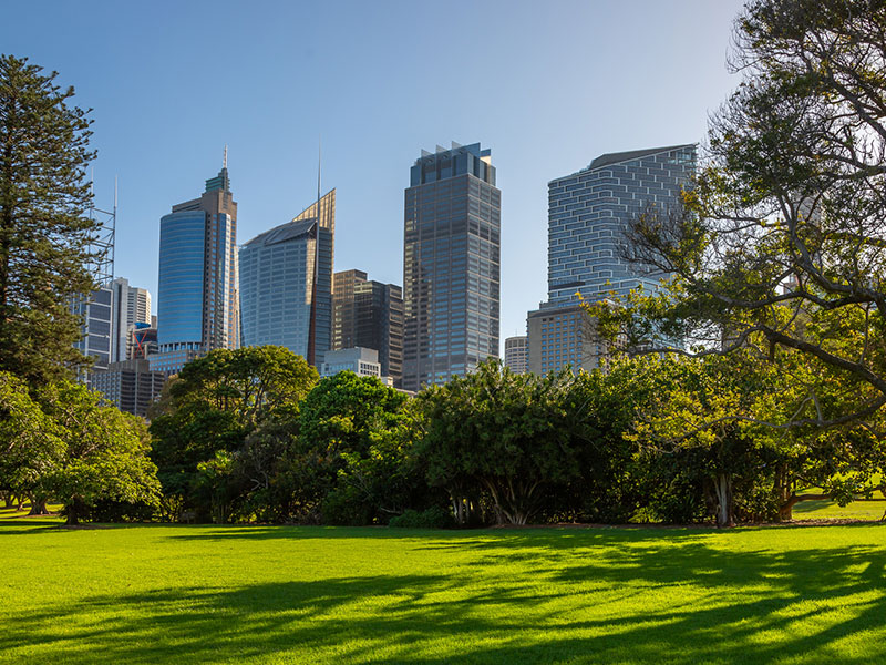 Sydney CBD Security Services